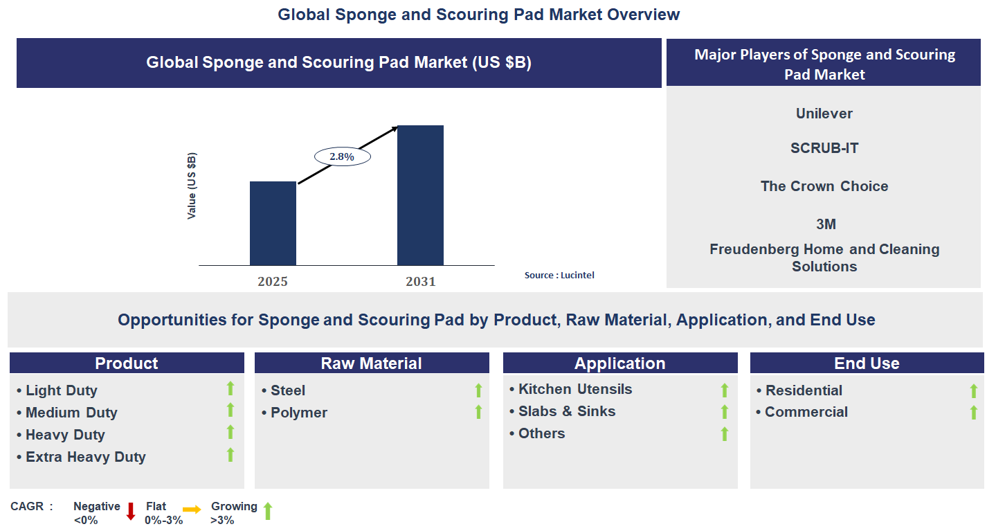 Sponge and Scouring Pad Market Trends and Forecast